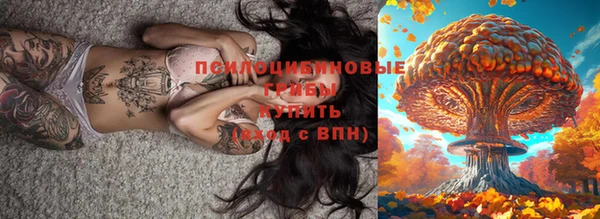 твердый Лагань