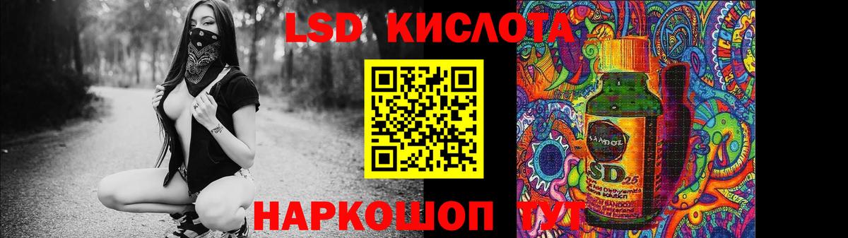 Псилоцибиновые грибы Нарьян-Мар