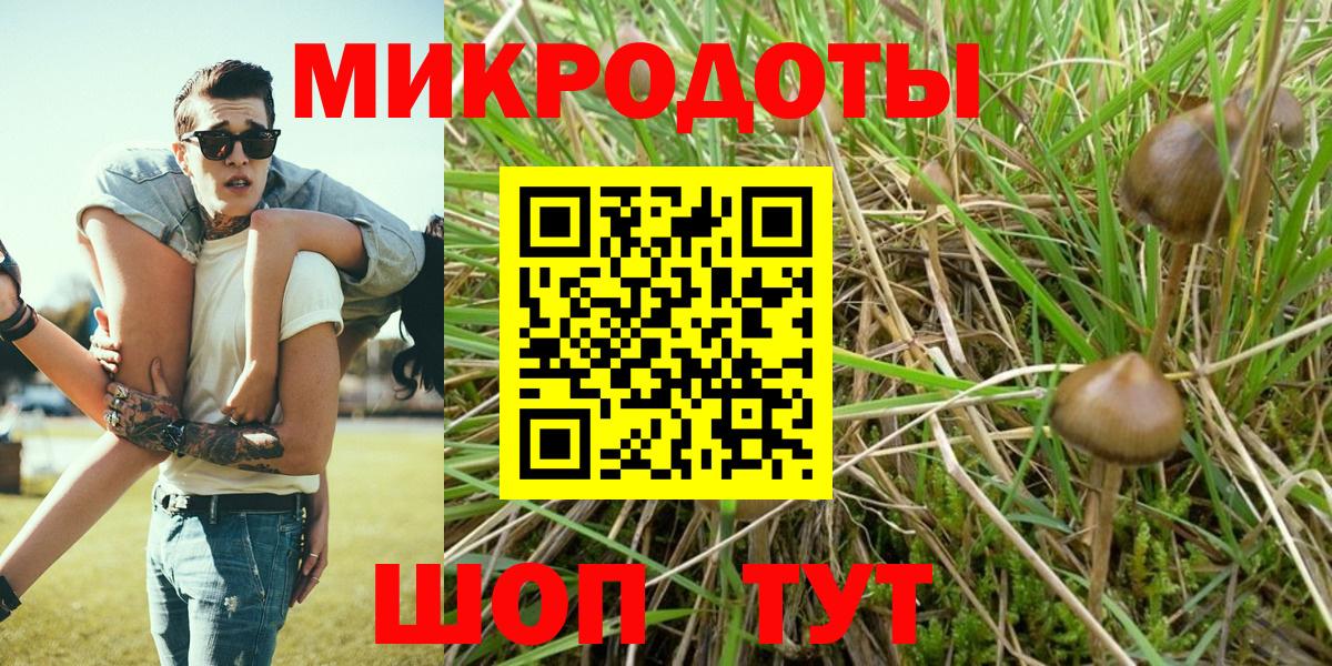 Псилоцибиновые грибы мухоморы Нарьян-Мар