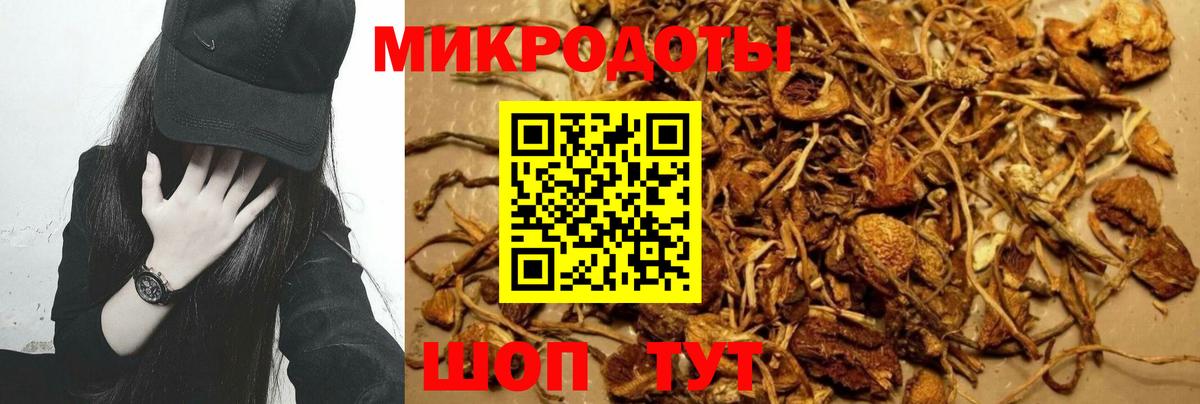 Нарьян-Мар  Галлюциногенные грибы прущие грибы  Вход с VPN 